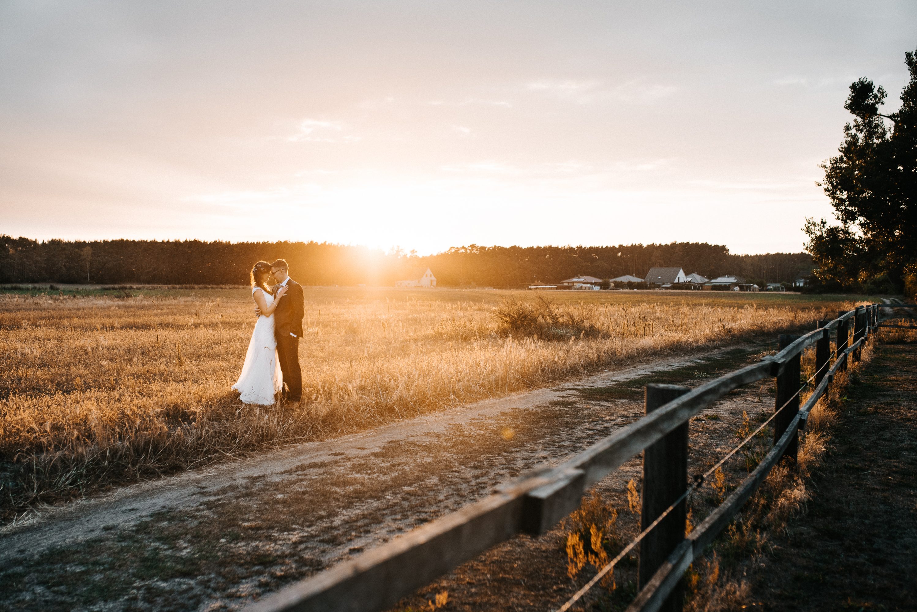 Hochzeitspaar auf dem Feld in Brandenburg beim Sonnenuntergang