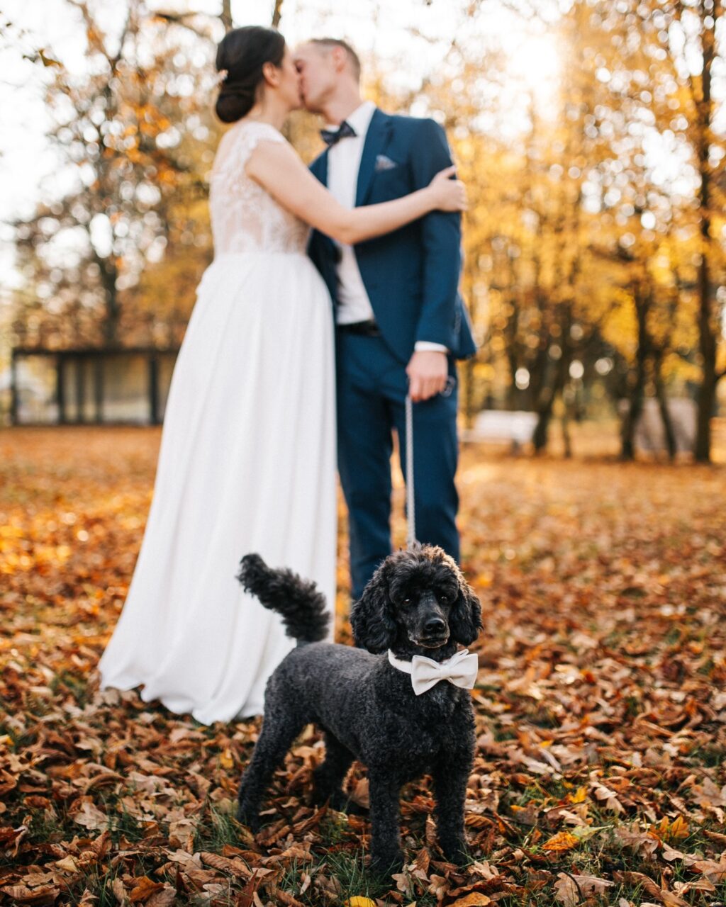 Instagram post from herzklopfreportagen. This post is in position 1.